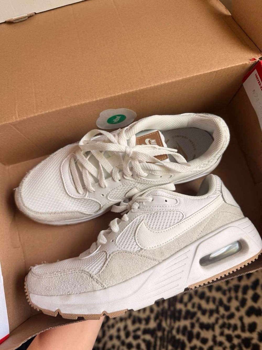 Nike Air Max’s